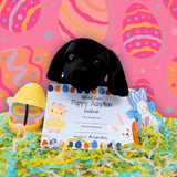 Special Easter Surprise Puppy