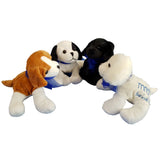 MND NSW Puppy