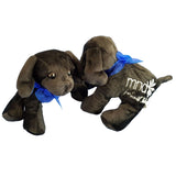 MND NSW Puppy