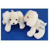 MND NSW Puppy